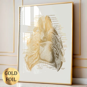 May include: A framed anatomical illustration of the human lungs and heart, rendered in gold foil on a cream background. The detailed diagram features labeled anatomical structures. The frame is gold. A gold foil sticker in the lower left corner reads "GOLD FOIL".