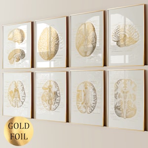 May include: Set of six framed anatomical illustrations of the human brain in gold foil. Each frame features a different view of the brain, with detailed labels and markings.