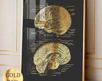 Or Art de l&#39;anatomie du cerveau Art de la neurologie Art médical Art du neurologue Cadeau du neurophysiologiste Cadeau du neuroscientifique Cadeau du neurochirurgien Psychologue