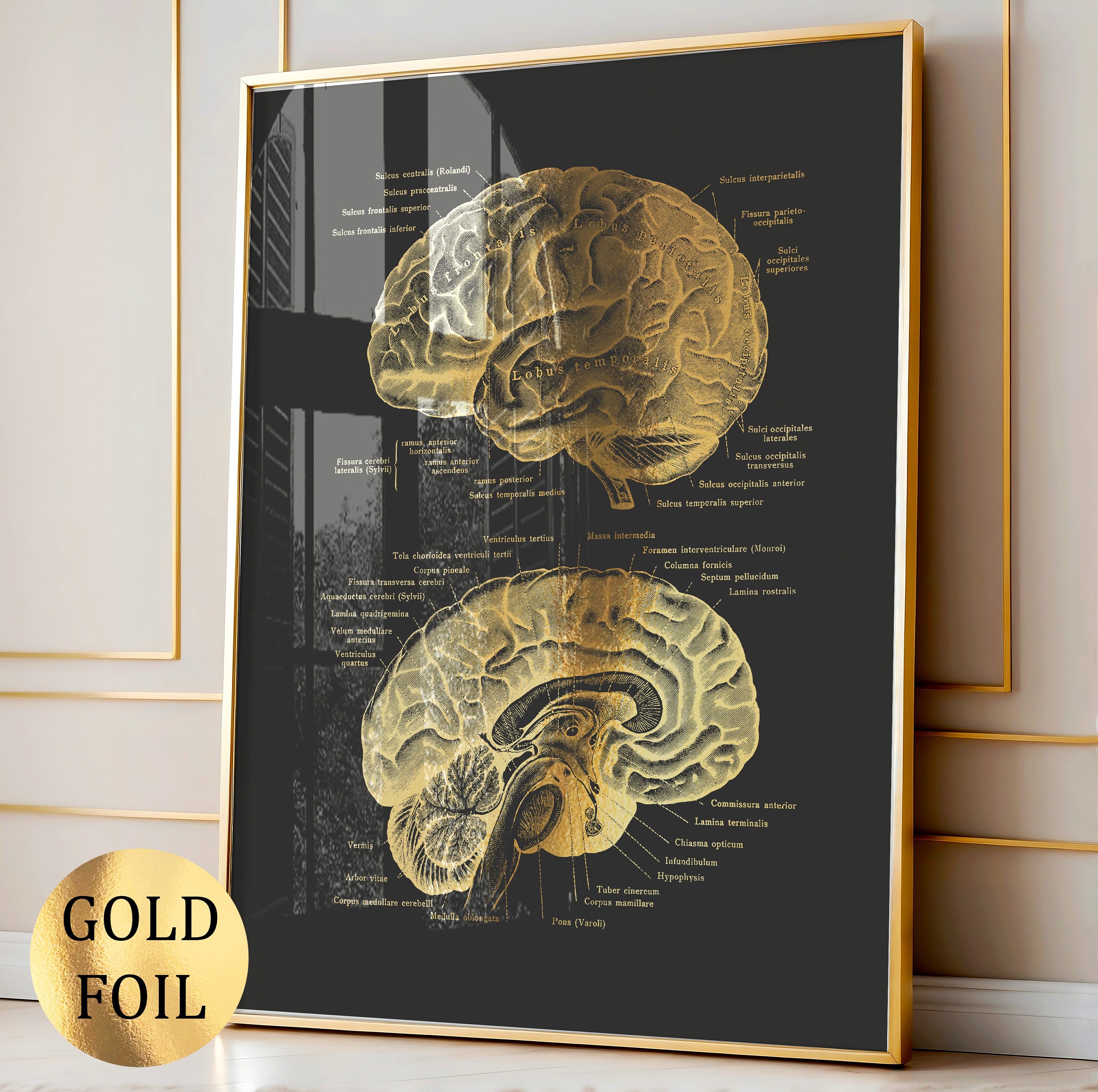 Gold Brain Anatomy Art Neurology Art Medical Art Neurologist Art ...