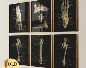 6 carteles de anatomía del pie dorados, impresión del sistema esquelético, arte ortopédico, diagrama de los huesos del pie, decoración clínica, regalo para médico, regalo para podólogo, impresión en lámina dorada.