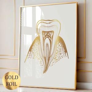 Arte anatomica dei denti, regalo dentista, arte in lamina d'oro, arte medica, poster odontoiatrico, arte scientifica, decorazione murale clinica odontoiatrica, regalo chirurgo dentista
