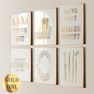 Set 6 Anatomia dei denti Arte Medicina dentale Poster Diagramma dei denti Tipi di denti Poster Strumenti per dentisti Decorazione clinica dentale Regalo per dentisti Arte in lamina d'oro