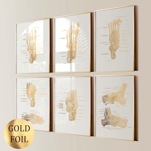 May include: Set of six framed prints featuring gold foil anatomical foot illustrations. Each print has a white background, gold frame, and detailed diagrams of the foot bones with labels. The prints are arranged in a grid formation.