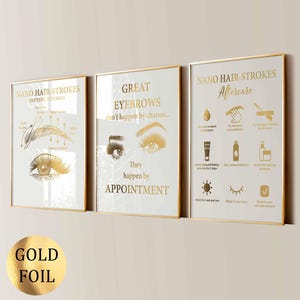 Könnte beinhalten: Drei rechteckige Wandbilder mit goldenem Text und Grafiken auf weißem Hintergrund. Die Drucke zeigen Nano-Haarstrich-Muster, Augenbrauen-Zitate und Pflegehinweise für Augenbrauenbehandlungen, eingefasst in dünne goldene Metallrahmen.