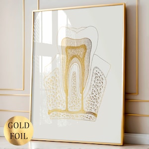 Póster de anatomía dental, arte dental, arte de odontología, regalo de dentista, decoración de consultorio dental, decoración de clínica dental, impresión en papel dorado