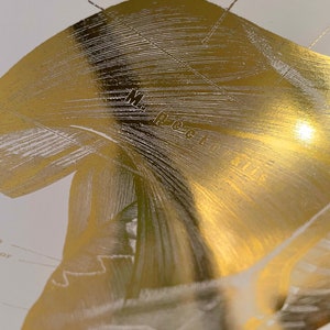 May include: A metallic gold anatomical print featuring a detailed illustration of the pectoralis muscle. The text M. pectoralis is clearly visible across the center of the gold surface, with additional anatomical labels like clavi-cularis visible.