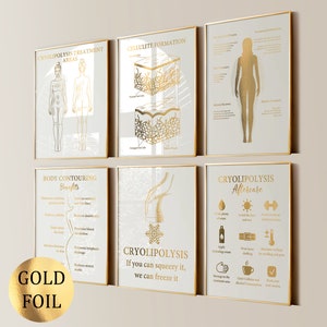 6 Escultura Corporal Contorno Corporal Tratamento de Criolipólise Congelamento de Gordura Perda de Gordura Celulite Cartaz Med SPA Golf Foil Print