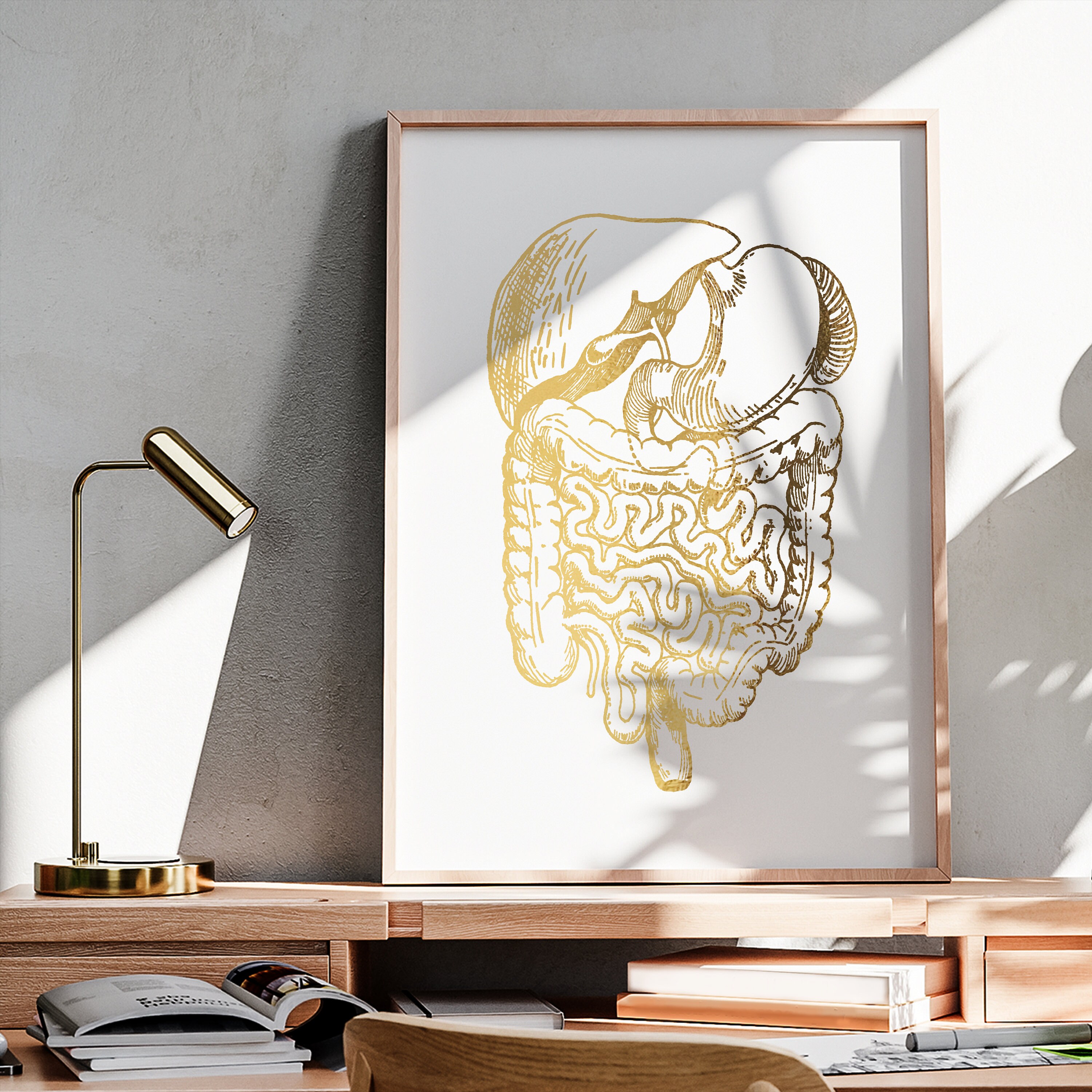Digestive System Art, Gold Anatomy Art, Medical Art, Gastroenterologist  Gift, Gastrointestinal Tract, Nutritionist Gift, Diet Specialist Art - Etsy  Finland
