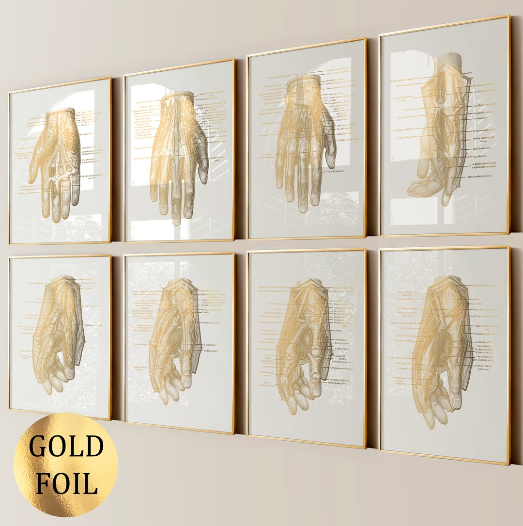 8 Gold Hand Anatomy Art Palm Structure Diagram Medical Art Muscles ...
