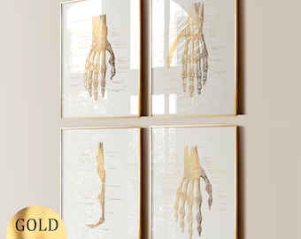 Set 4 hand anatomie posters palm botten diagram pols anatomie medische kunst goudfolie print skelet ledematen anatomie orthopedisch chirurg cadeau