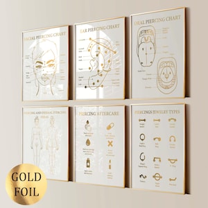 6 Piercing Art Posters Ear Piercing Facial Piercing Oral Piercing Body Piercing Aftercare Piercer Gift Piercing Salon Decor Gold Foil Print