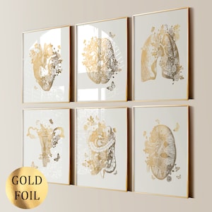 Set de 6 ilustraciones anatómicas doradas, anatomía floral, anatomía y flores, arte médico, corazón anatómico, cerebro y rosas, graduación médica, lámina dorada