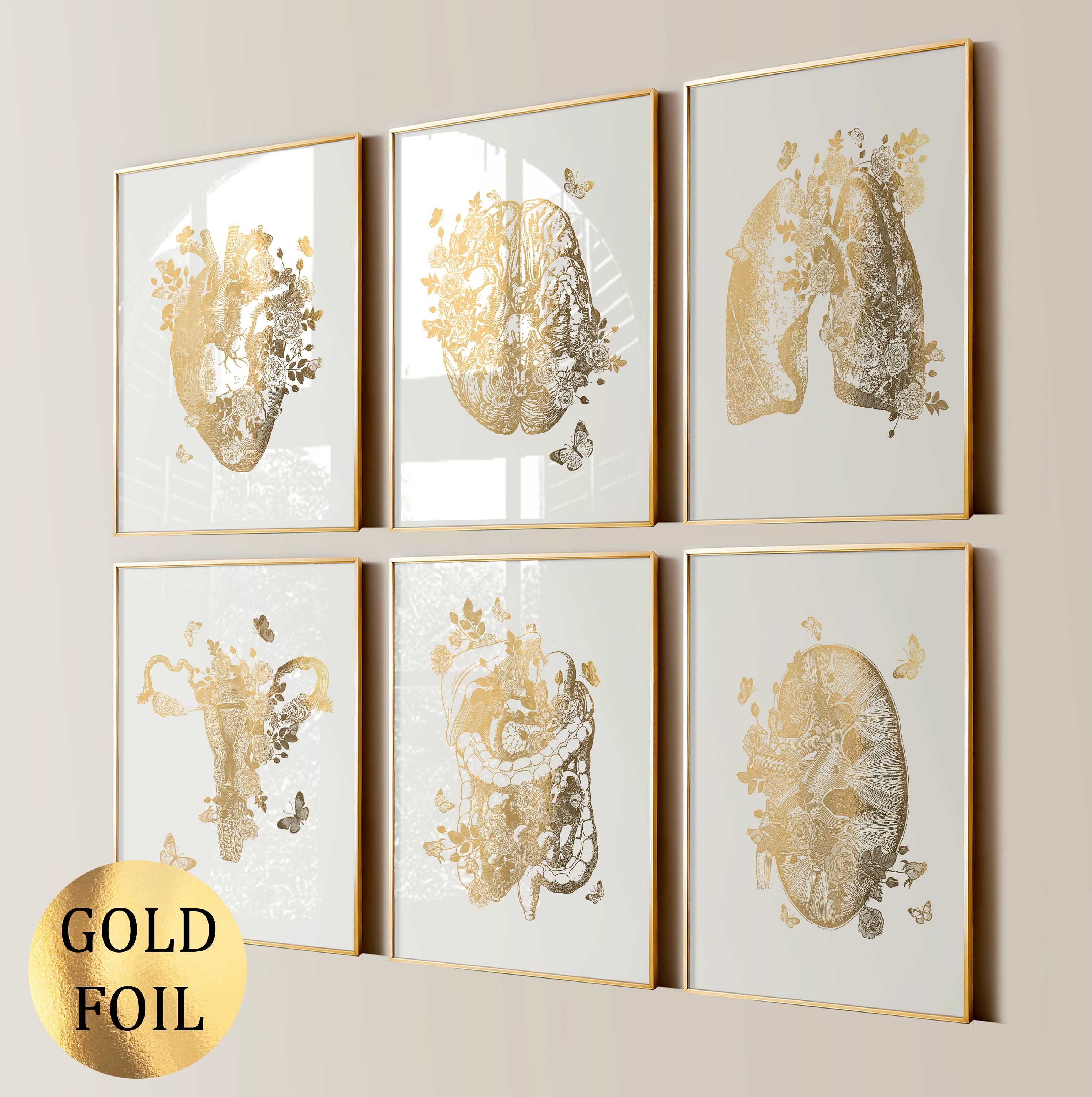 Set 6 Gold Anatomy Art, Floral Anatomy, Anatomy and Flowers