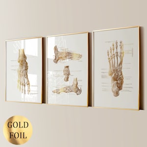 3 Foot Anatomy Art Orthopedic Poster Medical Art Orthopedist Gift Podiatrist Gift Podologist Gift Doctor Gift Gold Foil Print