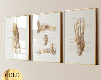 Affiche orthopédique d&#39;art de l&#39;anatomie de 3 pieds, art médical, cadeau orthopédiste, cadeau podologue, cadeau podologue, cadeau médecin, impression de feuille d&#39;or