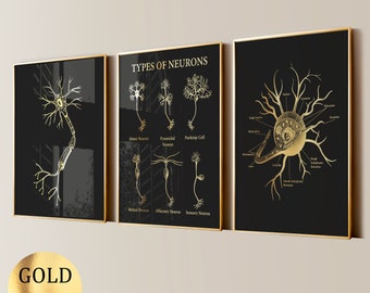 3 Gold Neuron Art Anatomy Art Nerve Cell Art Brain Anatomy Neurology Art Neuroscience Art Nervous System Neurologist Gift Gold Foil Print