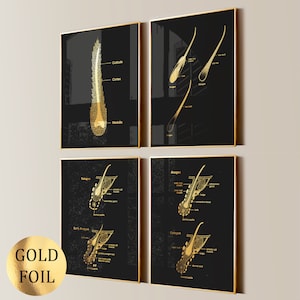 4 Echthaar Struktur Poster Hagel Follikel Diagram Haar Entfernung Behandlung Ästhetische Kunst Kosmetik Kunst Dermatologen Geschenk Goldfolie Druck
