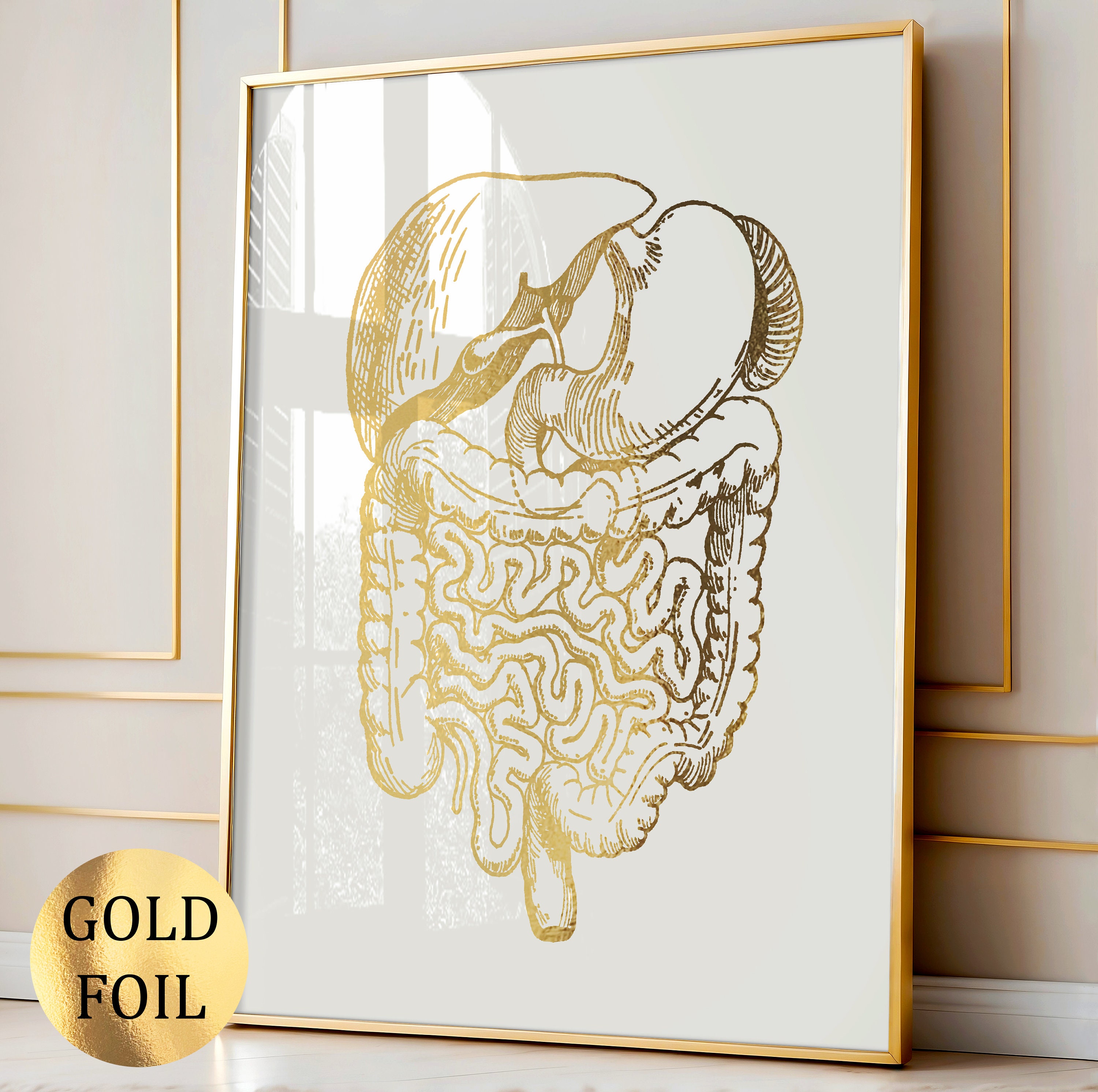 Digestive System Art, Gold Anatomy Art, Medical Art, Gastroenterologist  Gift, Gastrointestinal Tract, Nutritionist Gift, Diet Specialist Art - Etsy  Finland