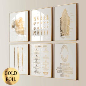 May include: A set of six framed wall art prints featuring gold foil anatomical dental illustrations on a light background. The prints display a human skull, various tooth structures, dental tools, dental tips text, and a full dental chart.