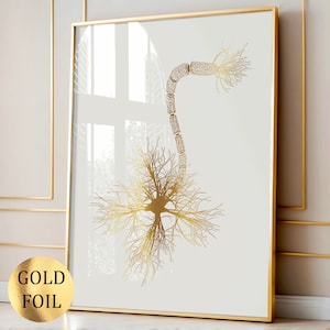 May include: A framed wall art print featuring a gold foil illustration of a neuron cell on a light gray background. The artwork depicts the cell body with branching dendrites and a long axon with myelin sheath segments, encased in a gold frame.
