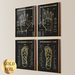 May include: Four black and gold framed charts with reflexology maps of the hands and feet. The charts are labelled "Hand Reflexology Chart" and "Foot Reflexology Chart" with "Right" and "Left" labels for each body part. The charts show the areas of the hands and feet that correspond to different parts of the body.