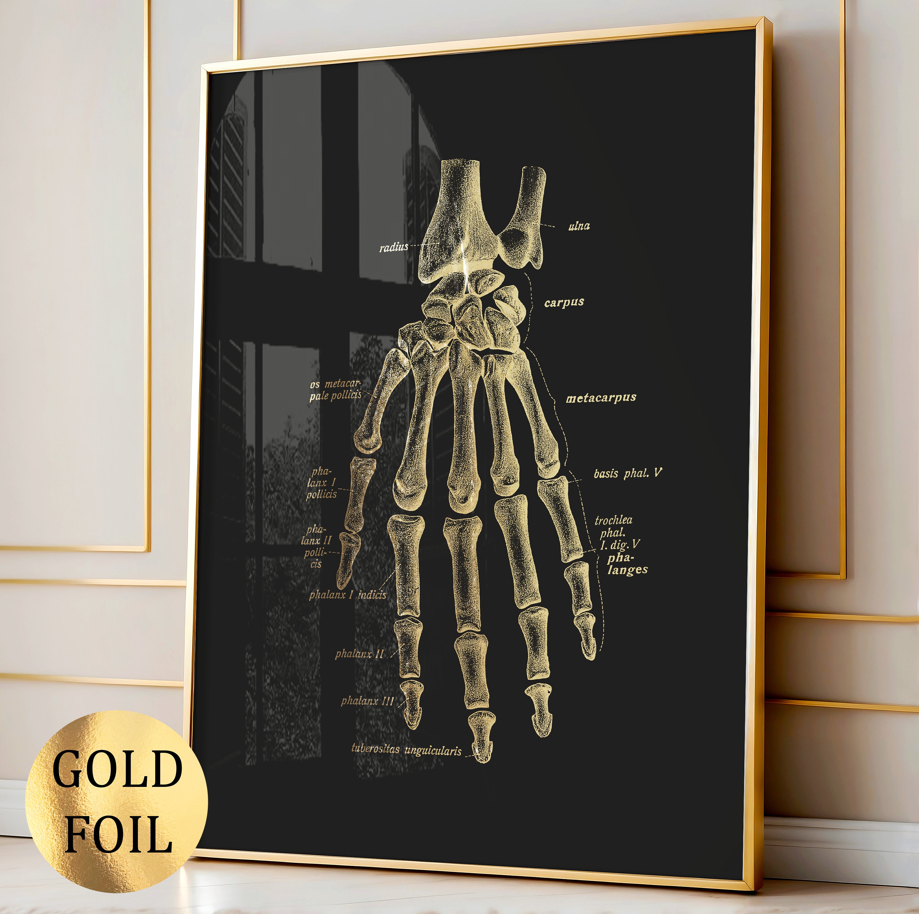 6 Gold Anatomy Art Skeletal System Poster Medical Art Human Skeleton ...