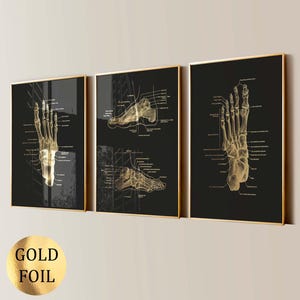 May include: Three framed art prints featuring gold foil illustrations of the human foot skeleton on a black background. The prints are in gold frames. The bottom left corner of the image has a gold foil sticker.