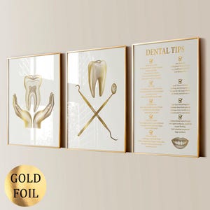 3 poster per la cura dei denti Arte per la salute dei denti Arte medica Arte odontoiatrica Regalo per dentista Decorazione per clinica odontoiatrica Regalo per igienista dentale Stampa in lamina d'oro