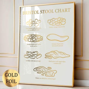 Gold Bristol Stool Chart Stool Types Poster Gastrointestinal Health Medical Art Gastroenterologist Gift Scientific Gift Gold Foil Print