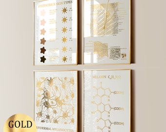 4 Fitzpatrick Skin Types Posters Fitzpatrick Scale Epidermal Melanocytes Melanin Formula Dermatologist Gift Cosmetologist Gift Gold Foil Art