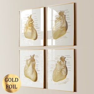 Set 4 Herzanatomie, Kardiologie Poster, Goldfolie Druck, Medizinische Kunst, Wissenschaftskunst, Kardiologen Geschenk, Herzchirurg Geschenk, Klinik Dekor