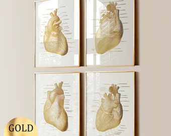 Set 4 Herzanatomie, Kardiologie Poster, Goldfolie Druck, Medizinische Kunst, Wissenschaftskunst, Kardiologen Geschenk, Herzchirurg Geschenk, Klinik Dekor