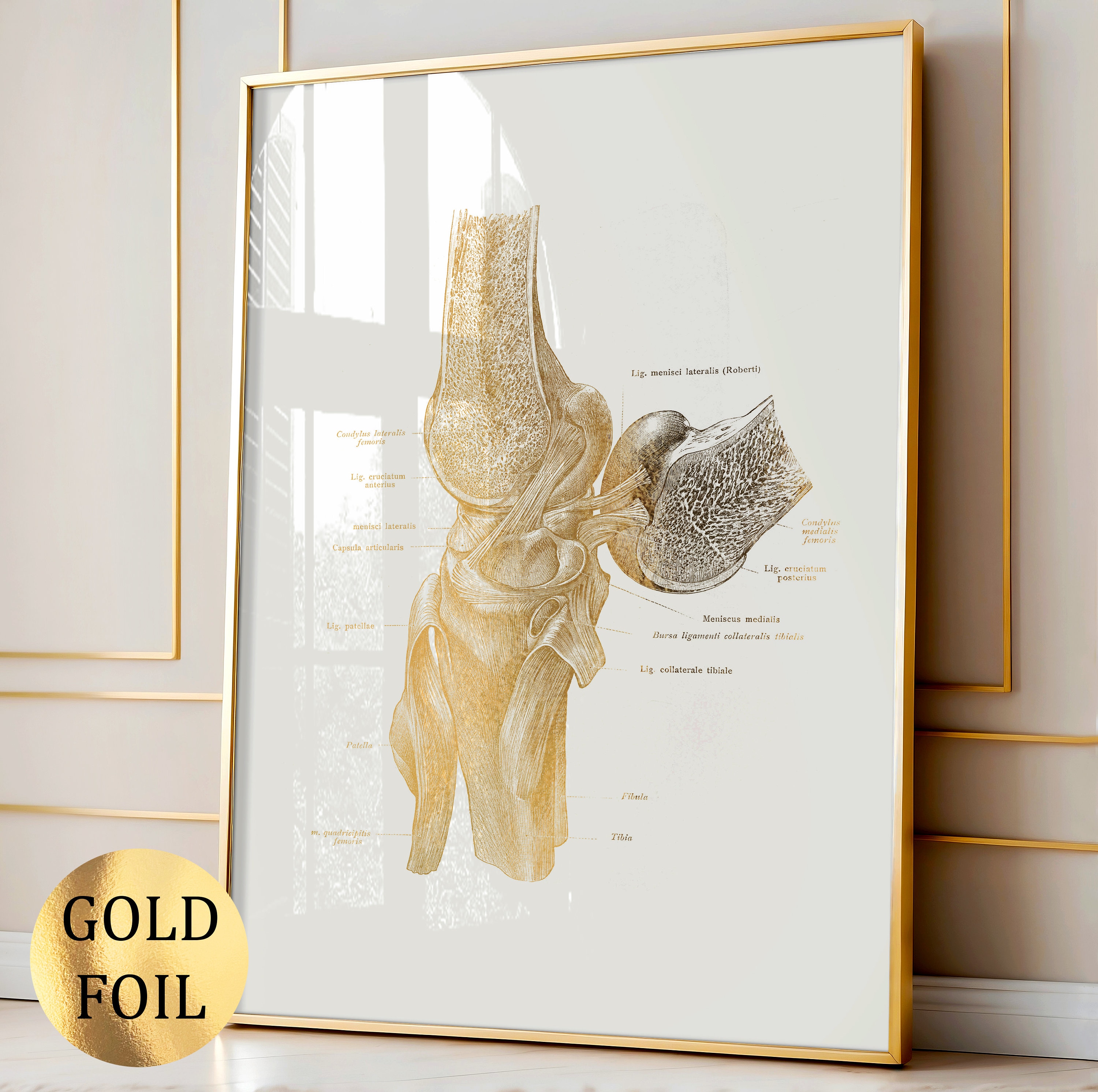 4 Gold Knee Anatomy Posters, Knee Joint, Gold Foil Print, Medical Art