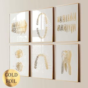 6 Poster artistici di anatomia dei denti, stampa artistica dentale, diagramma di numerazione dei denti, poster della struttura dei denti, regalo per dentista, decorazione per clinica dentale, stampa in lamina d'oro