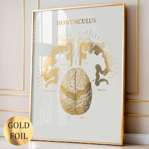 May include: Gold foil print of a Homunculus diagram, framed in gold. The artwork features a detailed illustration of the brain with labeled sections and a gold foil finish. The print includes the text "HOMUNCULUS" at the top.