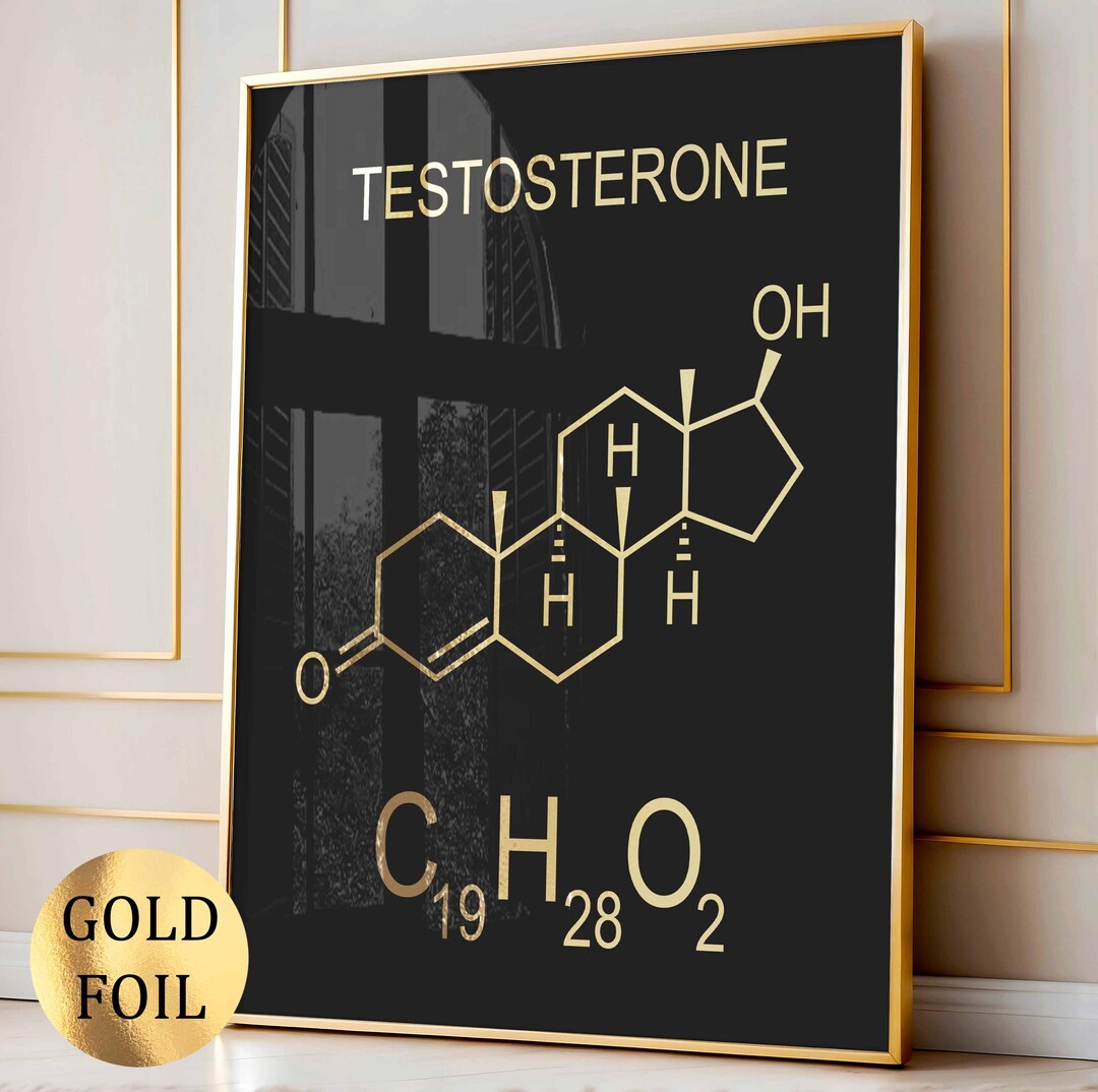 Testosterone Art Male Hormone Print Androgen Poster Endocrine Hormone ...