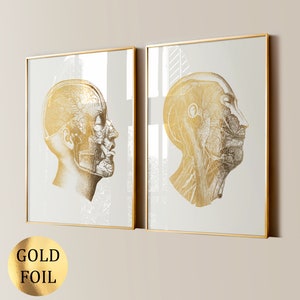 2 poster di anatomia del viso in oro, muscoli facciali, vene, sistema linfatico, diagramma, arte medica, arte scientifica, decorazioni per clinica di massaggi, regalo per chirurgo plastico
