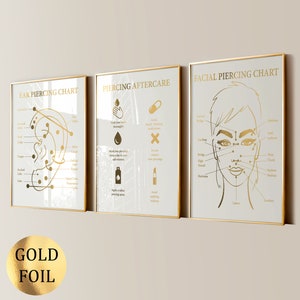 3 Piercing Kunst Ohr Piercing Piercing Gesichts Piercing Poster Piercing Nachsorge Anleitung Body Piercingr Geschenk Piercing Salon Decor Goldfolie Druck