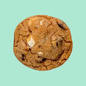Vegan S’mores Cookies – Free Shipping at 35+ | Fireside Letters | Dairy-Free, Egg-Free Graham, Marshmallow & Chocolate