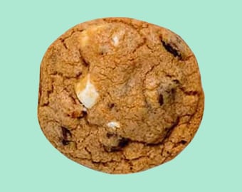 Vegan S’mores Cookies – Free Shipping at 35+ | Fireside Letters | Dairy-Free, Egg-Free Graham, Marshmallow & Chocolate