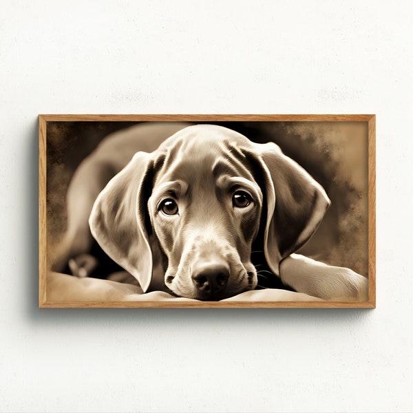 Frame TV Art Digital Download | Weimaraner Puppy | Rustic Farmhouse Art for TV | Samsung Frame TV Art | Sepia Portrait of Puppy Laying Down