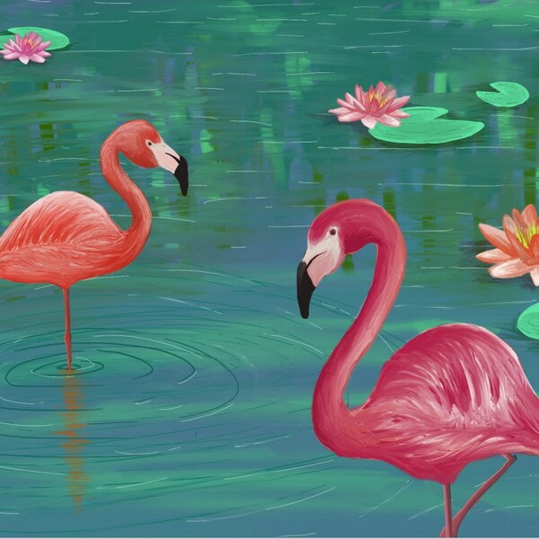 Peaceful Flamingos