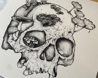 Fungi Encrusted Skull - Giclée Print