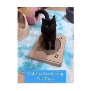 CatBox Krabpaal speelgoed huisdier kartonnen meubelen