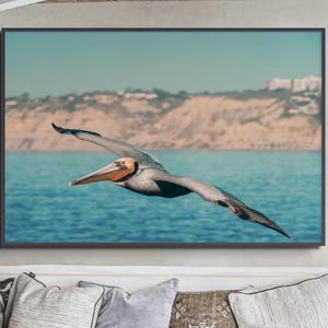 Väggkonst med pelikaner - Fotografi av kustfåglar | Konsttryck med havsdjur bild 1