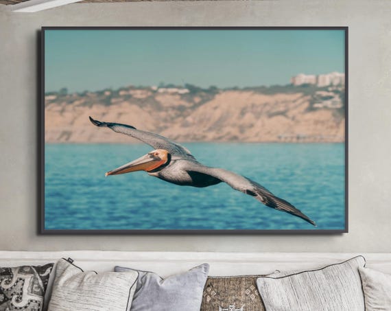 Pelican Wall Art - Coastal Bird Photography | Fine Art Ocean Wildlife Print
