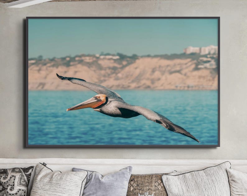 Väggkonst med pelikaner - Fotografi av kustfåglar | Konsttryck med havsdjur bild 1