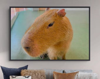 Capybara Fine Art Print – Tokyo Capybara Cafe Close Up Animal Photography, Ginger Coat Detail