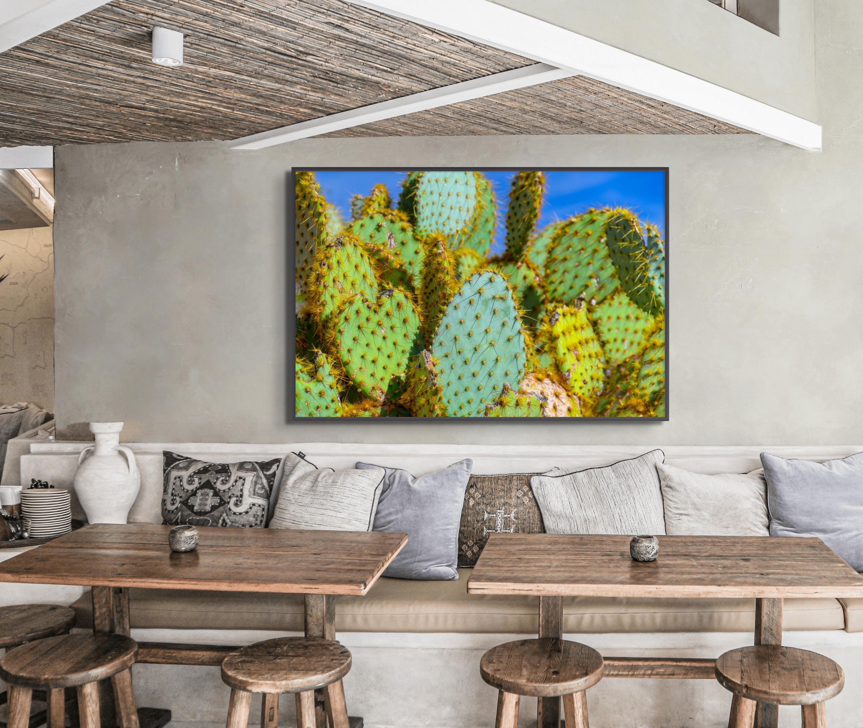 Prickly Pear Cactus Wall Art - Vibrant Desert Botanical Photography ...